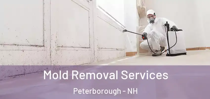 Mold Removal Services Peterborough - NH