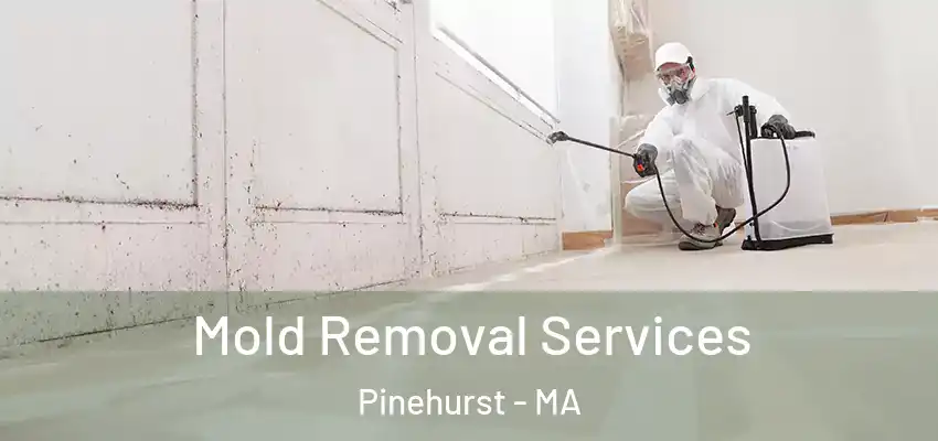 Mold Removal Services Pinehurst - MA