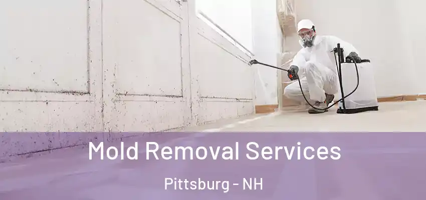 Mold Removal Services Pittsburg - NH