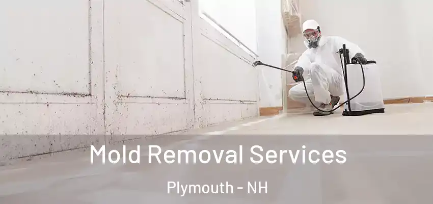 Mold Removal Services Plymouth - NH