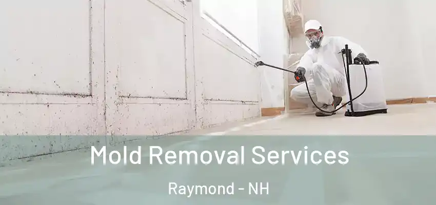 Mold Removal Services Raymond - NH