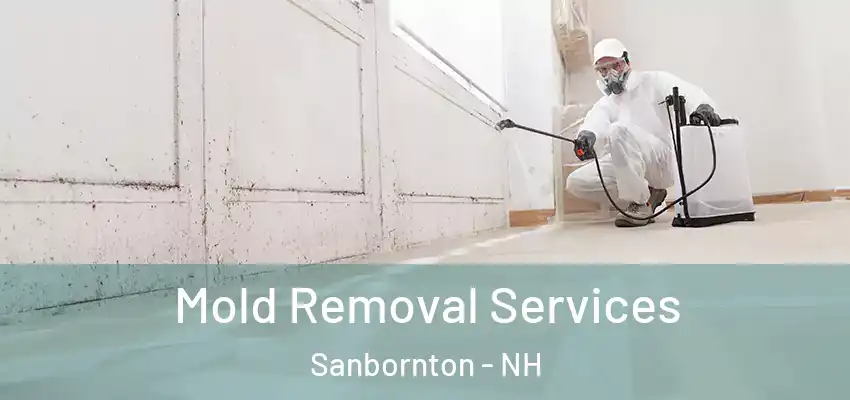 Mold Removal Services Sanbornton - NH