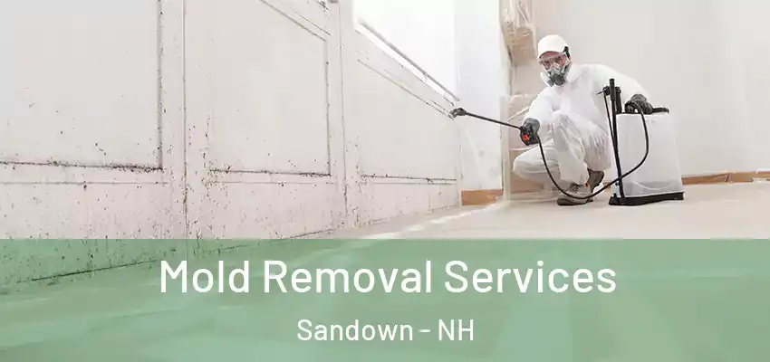  Mold Removal Services Sandown - NH
