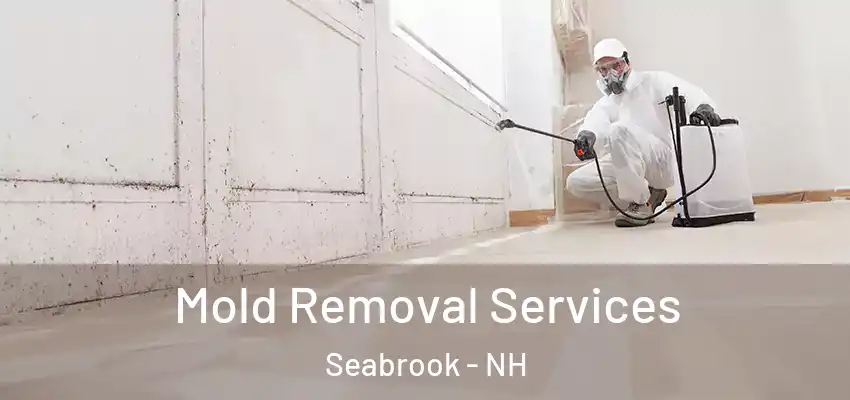 Mold Removal Services Seabrook - NH