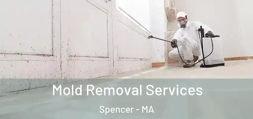 Mold Removal Services Spencer - MA