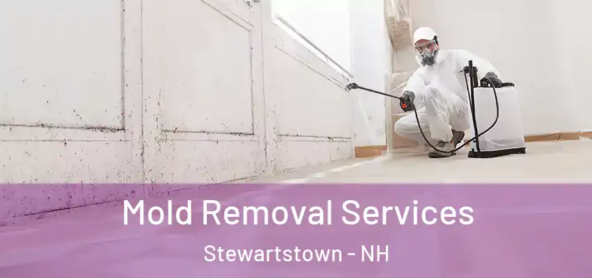 Mold Removal Services Stewartstown - NH