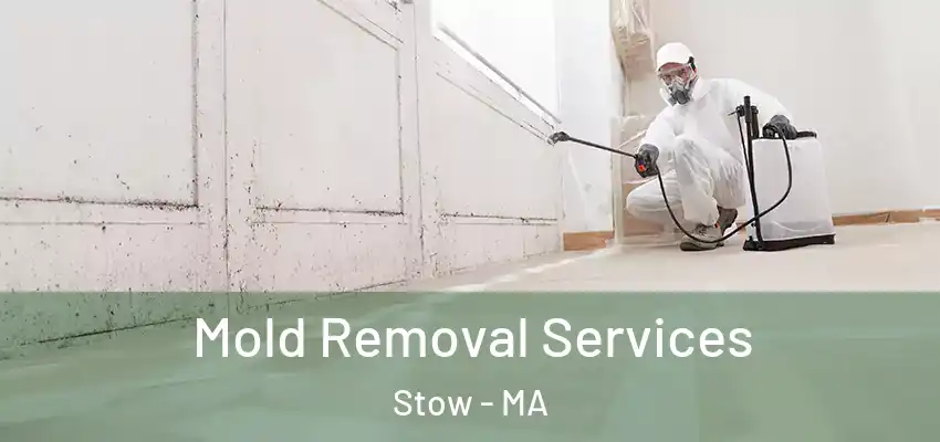 Mold Removal Services Stow - MA