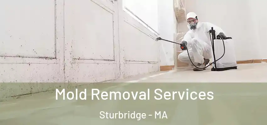 Mold Removal Services Sturbridge - MA