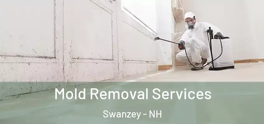  Mold Removal Services Swanzey - NH