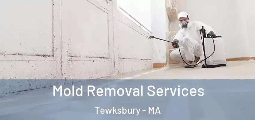 Mold Removal Services Tewksbury - MA