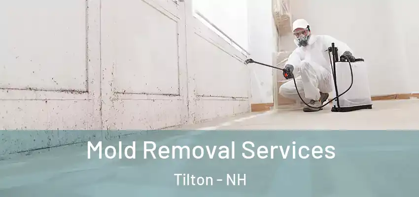 Mold Removal Services Tilton - NH