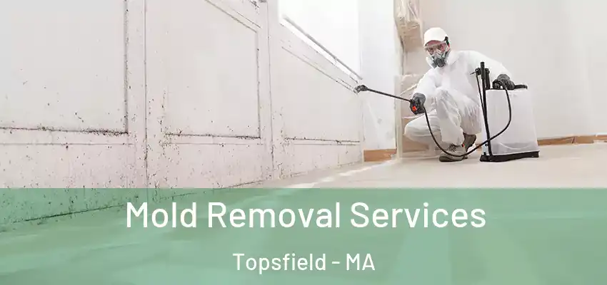  Mold Removal Services Topsfield - MA