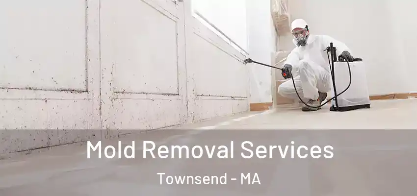  Mold Removal Services Townsend - MA
