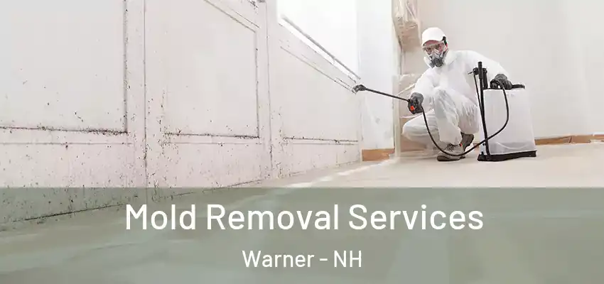 Mold Removal Services Warner - NH