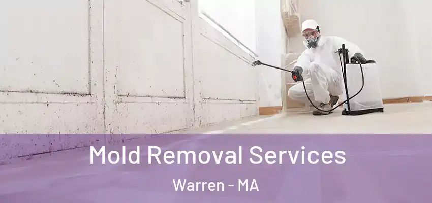 Mold Removal Services Warren - MA