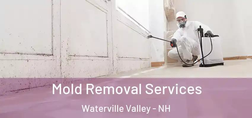  Mold Removal Services Waterville Valley - NH