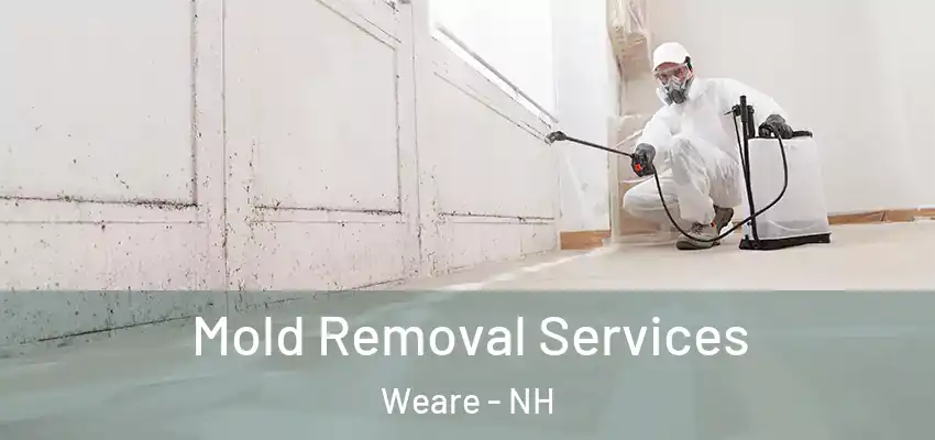  Mold Removal Services Weare - NH
