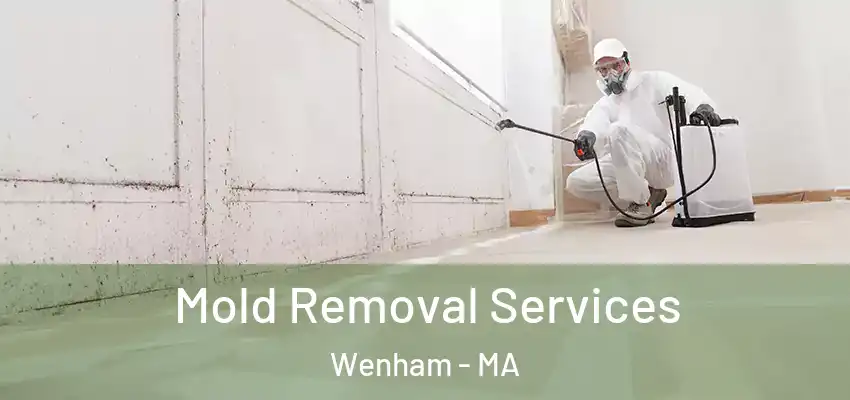  Mold Removal Services Wenham - MA