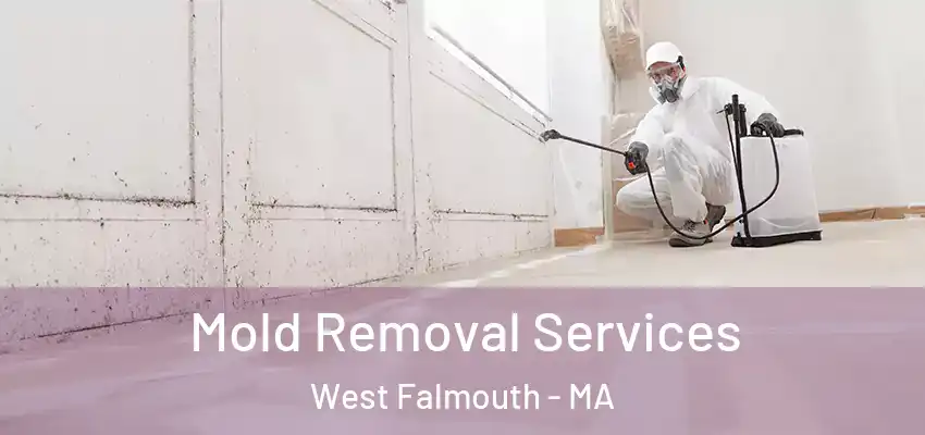  Mold Removal Services West Falmouth - MA