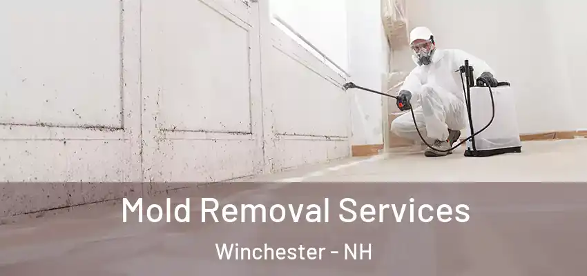 Mold Removal Services Winchester - NH