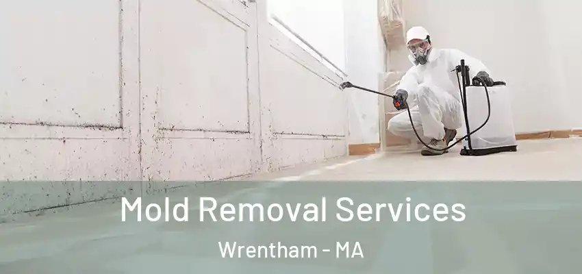  Mold Removal Services Wrentham - MA
