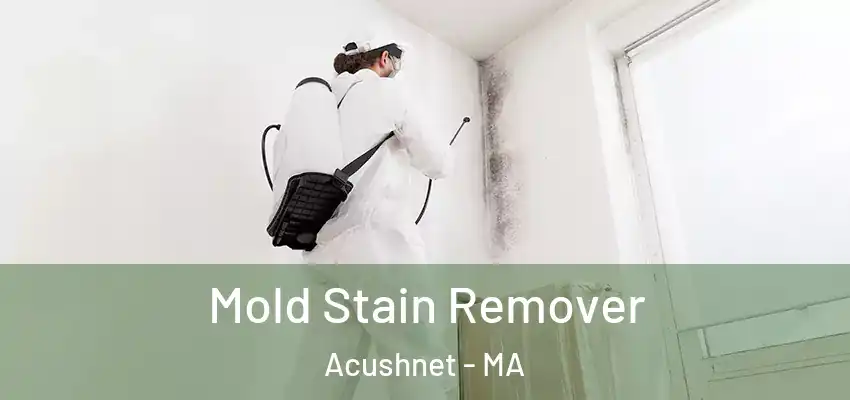  Mold Stain Remover Acushnet - MA