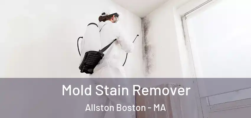 Mold Stain Remover Allston Boston - MA