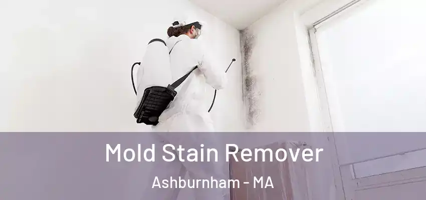 Mold Stain Remover Ashburnham - MA
