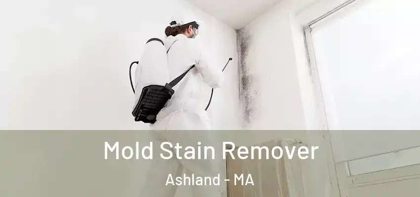  Mold Stain Remover Ashland - MA