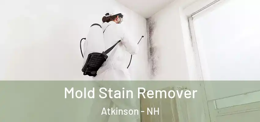 Mold Stain Remover Atkinson - NH