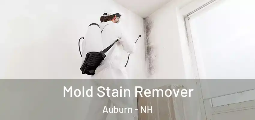  Mold Stain Remover Auburn - NH
