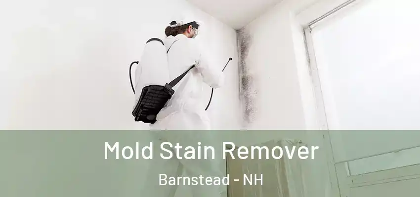 Mold Stain Remover Barnstead - NH