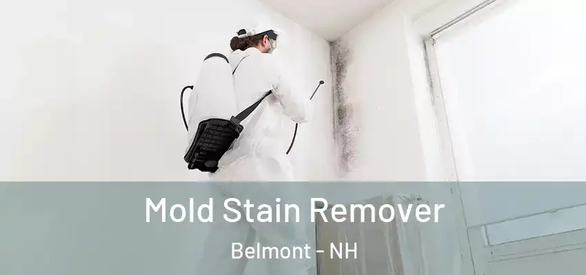  Mold Stain Remover Belmont - NH