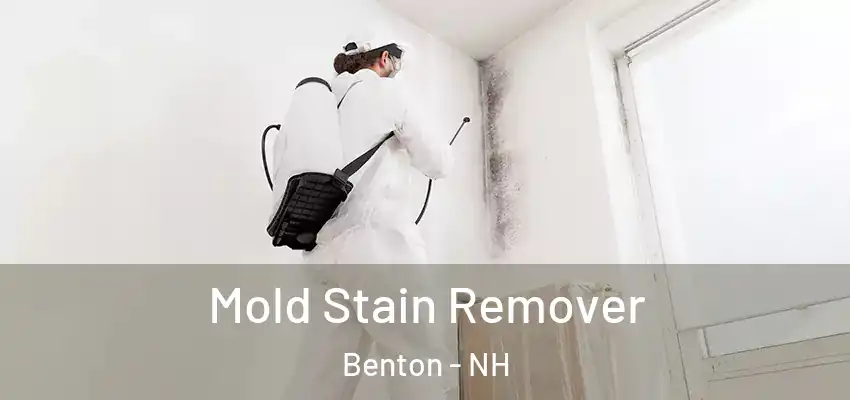 Mold Stain Remover Benton - NH