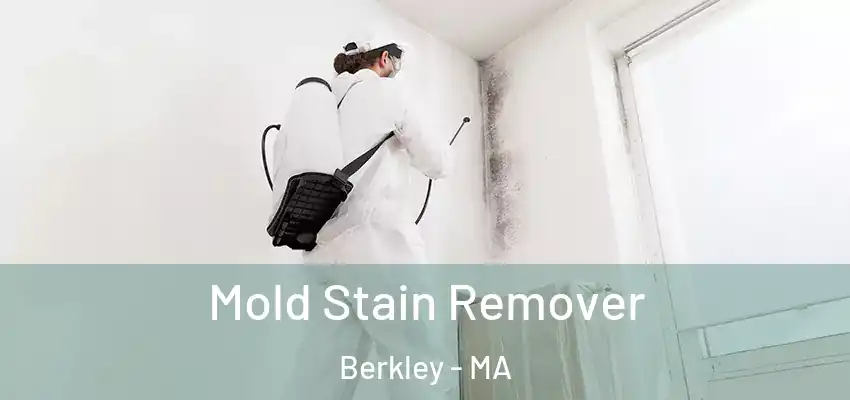 Mold Stain Remover Berkley - MA