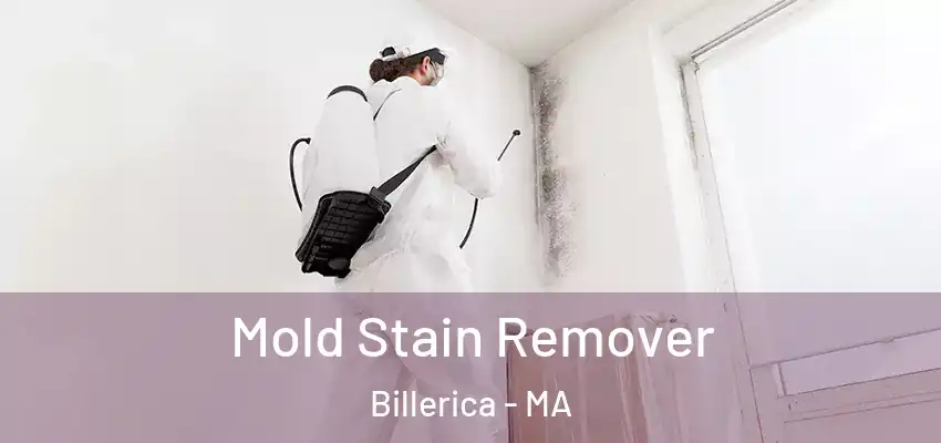  Mold Stain Remover Billerica - MA