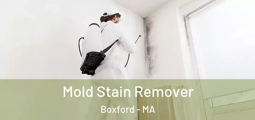  Mold Stain Remover Boxford - MA