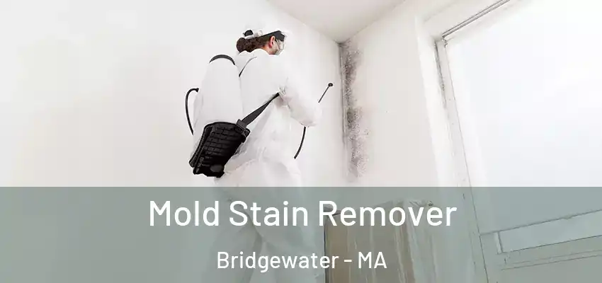 Mold Stain Remover Bridgewater - MA
