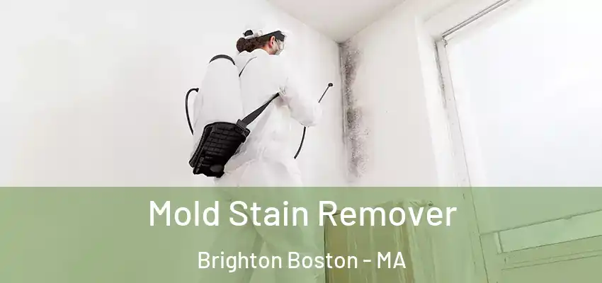 Mold Stain Remover Brighton Boston - MA