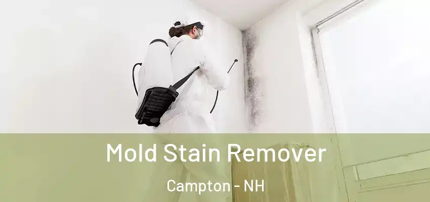 Mold Stain Remover Campton - NH