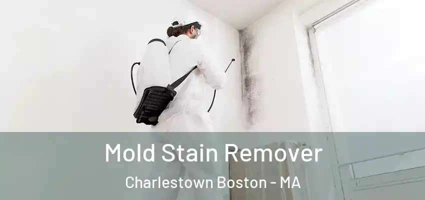 Mold Stain Remover Charlestown Boston - MA