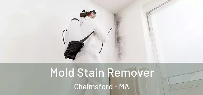 Mold Stain Remover Chelmsford - MA