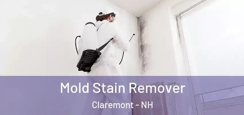  Mold Stain Remover Claremont - NH
