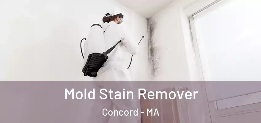  Mold Stain Remover Concord - MA