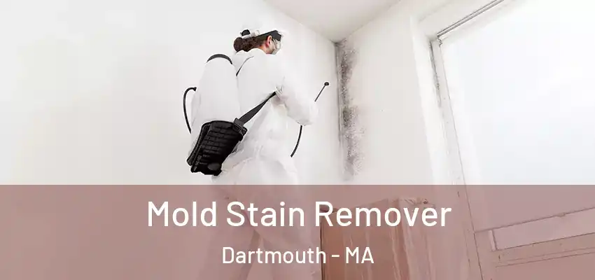  Mold Stain Remover Dartmouth - MA
