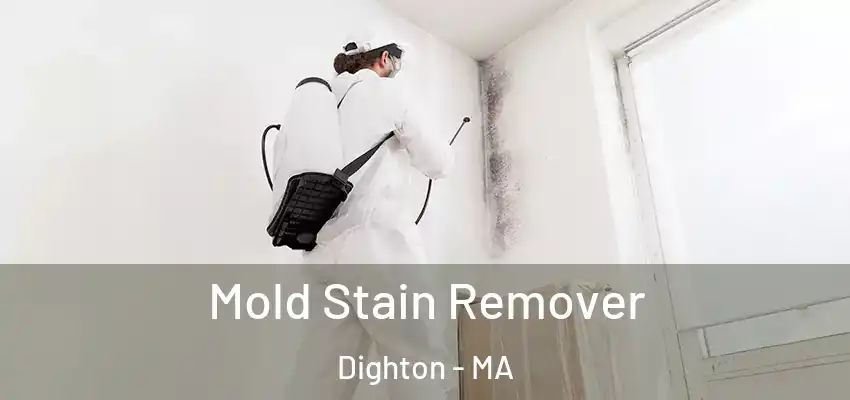  Mold Stain Remover Dighton - MA