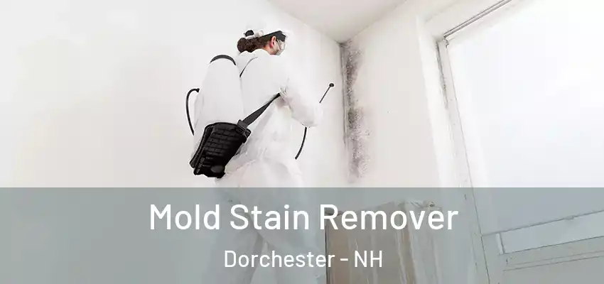  Mold Stain Remover Dorchester - NH