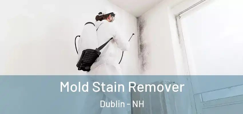  Mold Stain Remover Dublin - NH