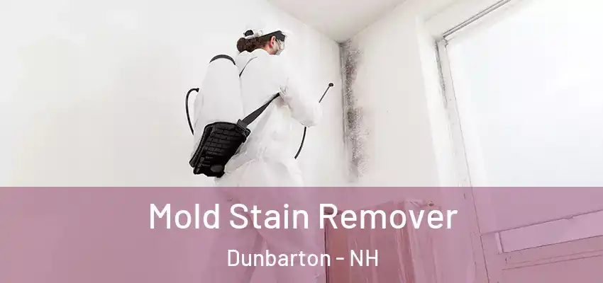  Mold Stain Remover Dunbarton - NH