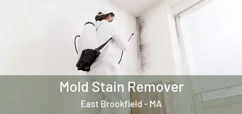 Mold Stain Remover East Brookfield - MA